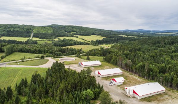 Consultants Lemay Choinière génie agricole commercial résidentiel agroalimentaire laitier équestre porcin avicole environnement ingénieur agricole