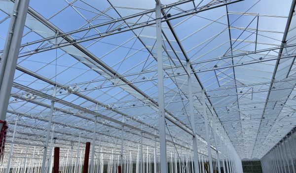 serre horticulture consultants Lemay Choinière génie agricole commercial résidentiel agroalimentaire laitier équestre porcin avicole environnement ingénieur agricole