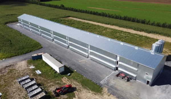 poulailler poulet à griller poule avicole consultants Lemay Choinière génie agricole commercial résidentiel agroalimentaire laitier équestre porcin avicole environnement ingénieur agricole